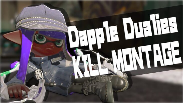 【Dapple Dualies】Splatoon2 Kill Montage 3rd【音ハメ/キル集/スプラトゥーン2/あしん/スパッタリー】