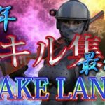 【今年最後のキル集】FAKE LAND/FAKE TYPE.