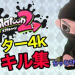 【キル集】スプラトゥーン2 リッター4k