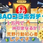 【荒野行動】初心者レディ子、SAOコラボガチャで狙いのアレを神引き！？ #NE夏祭り2022