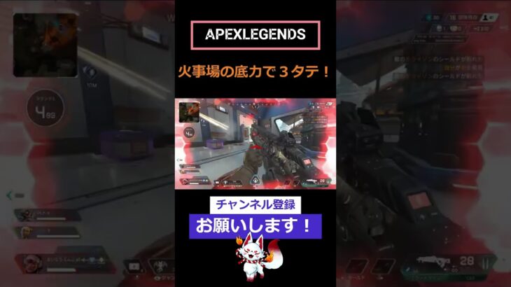 ヴァンテージ専になる狐のキル集ep17 #apex #ヴァンテージ #shorts #clips #3タテ #car #フラットライン #vtuber #チャンネル登録お願いします