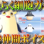 【荒野行動】はたらく細胞の「新コラボガチャ」回す！→新金枠仲間「ボイスない」っす。無料無課金ガチャリセマラプロ解説。こうやこうど拡散のため👍お願いします【アプデ最新情報攻略まとめ】