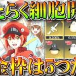 【荒野行動】はたらく細胞コラボ新ガチャは「補給勲章ガチャのみ」です。新金枠は「５つ」だけうち４は仲間。無料無課金ガチャリセマラプロ解説。こうやこうど拡散のため👍お願いします【アプデ最新情報攻略まとめ】