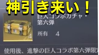 進撃の巨人コラボ　第六弾　ガチャ箱【荒野行動】188PC版/KNIVES OUT PC「チャンネル登録よろしくお願いします」「＃荒野の光」