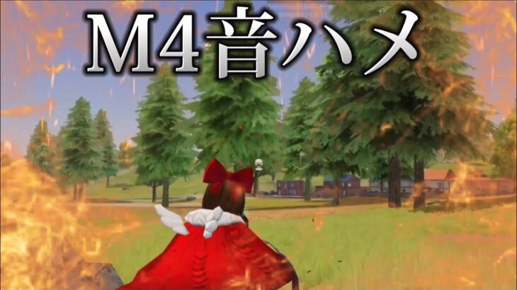 M4音ハメ世界一上手いキル集☔️【荒野行動】