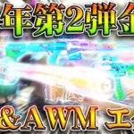 【荒野行動】５周年第２弾金枠が判明！→「M4とAWM」が目立ちすぎる件ｗｗｗ無料無課金ガチャリセマラプロ解説。こうやこうど拡散のため👍お願いします【アプデ最新情報攻略まとめ】