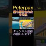 Peterpanの最も再生されたキル集【フォートナイト/Fortnite】