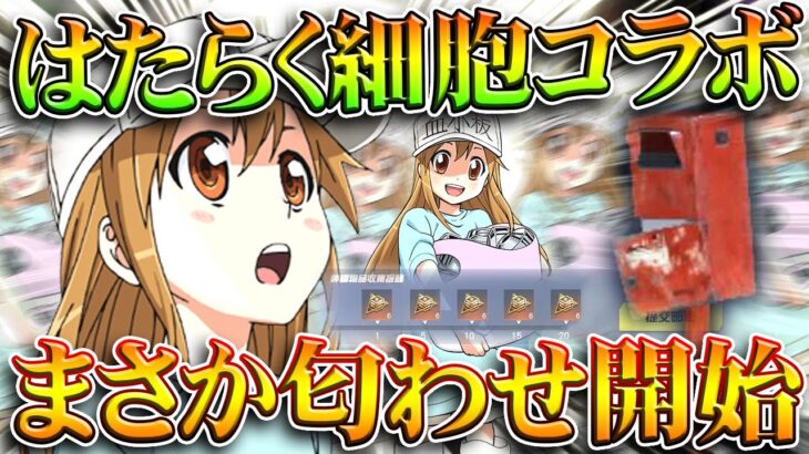 【荒野行動】まさかの２つ目のコラボ！？「はたらく細胞」コラボの事前告知がきています。無料無課金ガチャリセマラプロ解説。こうやこうど拡散のため👍お願いします【アプデ最新情報攻略まとめ】