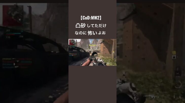 【CoD:MW2】#凸砂 #CoD #mw2 #SR #sniper #SPX80 #mw2022 #キル集 #クリップ #メッシ #神ゲー #怖い #SRuki #shorts