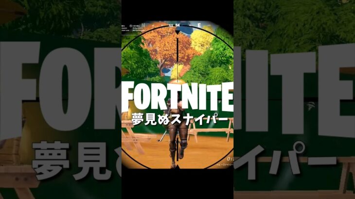 【フォートナイトキル集】夢見ぬスナイパー【02/20】 #shorts #フォートナイト #フォトナ #fortnite