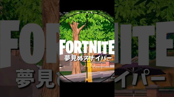 【フォートナイトキル集】夢見ぬスナイパー【02/21】 #shorts #フォートナイト #フォトナ #fortnite