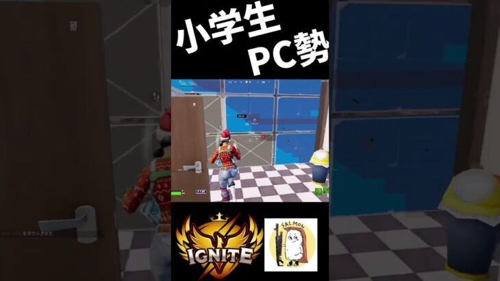 【小学生PC勢】キル集1【フォートナイト】