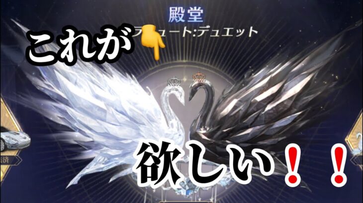 ガチャ運無し男…新殿堂パラシュートが欲しい‼️【荒野行動】新殿堂ガチャ引いてみた！