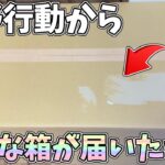 荒野行動から超巨大なダンボールが届いたので開封してみたら激レアな限定品が入ってたｗｗ【荒野行動】#1024 Knives Out