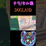 フォートナイトキル集/テラ　DOGLAND #shorts