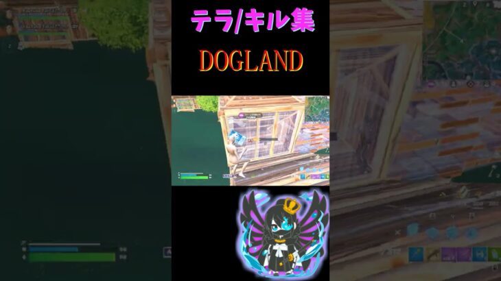 フォートナイトキル集/テラ　DOGLAND #shorts