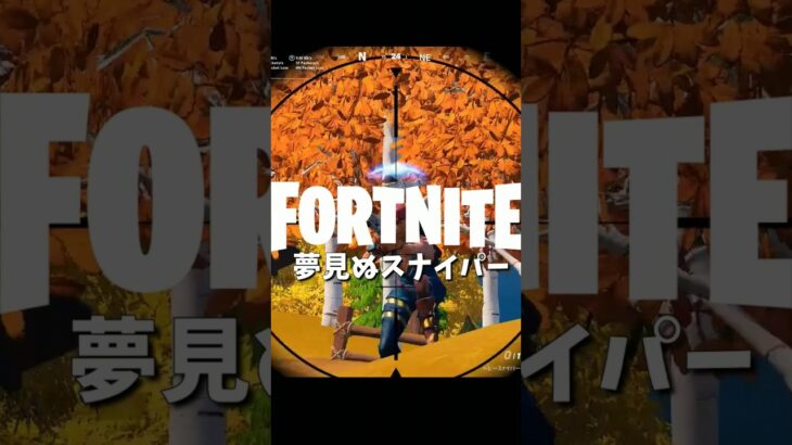 【フォートナイトキル集】夢見ぬスナイパー【04/11】 #shorts #フォートナイト #フォトナ #fortnite