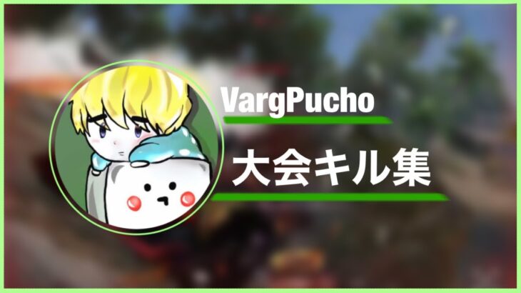 VargPucho 大会キル集【荒野行動】