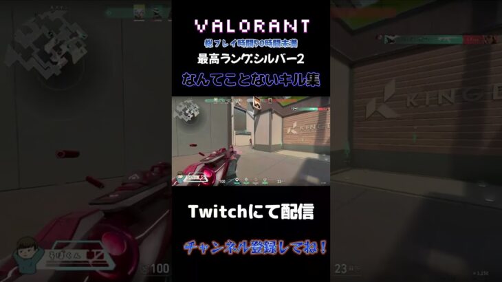 ヴァロ初心者による、何の変哲もないキル集#shorts #valorant #valorantclips #vairalvideo #ヴァロラント  #ゲーム #面白い #キル集