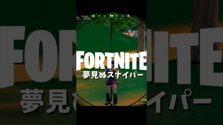 【フォートナイトキル集】夢見ぬスナイパー【05/13】 #shorts #フォートナイト #フォトナ #fortnite