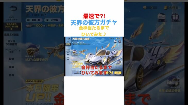 【荒野行動】最速で⁈GOGO FES限定天界の彼方ガチャ金枠当たるまでひいてみた♪【荒野の光】 #荒野行動 #荒野行動ガチャ #荒野の光 #荒野あーちゃんねる