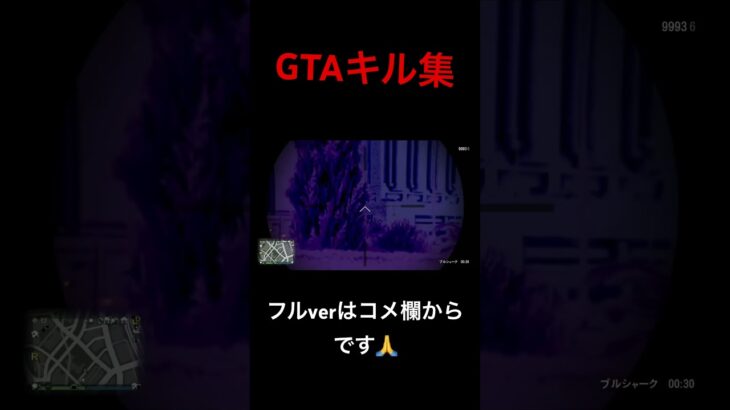 【GTA】SR大好きな人のキル集