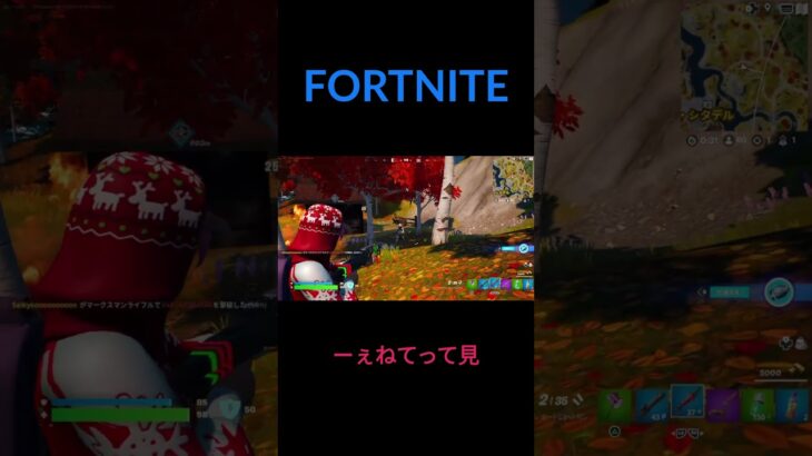 数少ないキル集21【Fortnite】