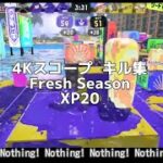 4Kスコープ　Flesh Season XP20キル集