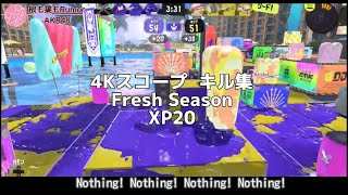 4Kスコープ　Flesh Season XP20キル集