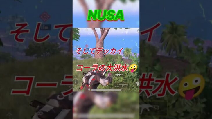 【PUBGモバイル】あの曲の和訳が…🤣　NUSAキル集!! PUBGMOBILE