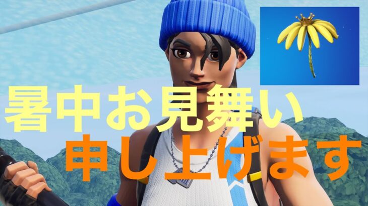 【Fortnite】今更ながら新シーズン傘取れたので、、、(沼キル集の暑中お見舞い的な) #フォートナイト　#暑中お見舞い