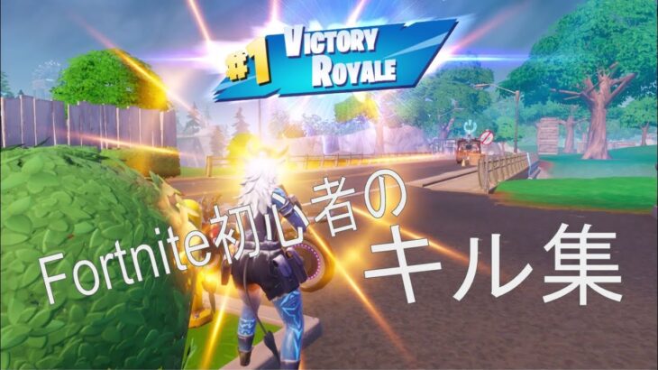 Fortnite歴一ヶ月のキル集