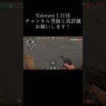 ヴァロ楽しい#fps #valorant #キル集