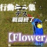 【荒野行動キル集】【Flower/危】【荒野の光】【荒野新マップ】