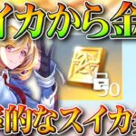 【荒野行動】スイカから「バインド金券」→効率的なスイカ植えと掘り起こし方法！無料無課金ガチャリセマラプロ解説。こうやこうど拡散の為👍お願いします【アプデ最新情報攻略まとめ】