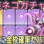 【荒野行動】新ガチャ！重装ネコが少額でも金枠出る神ガチャだった？！