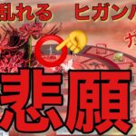 【荒野行動】咲き乱れるヒガンバナガチャ叶えてあげたい悲願花⁉️