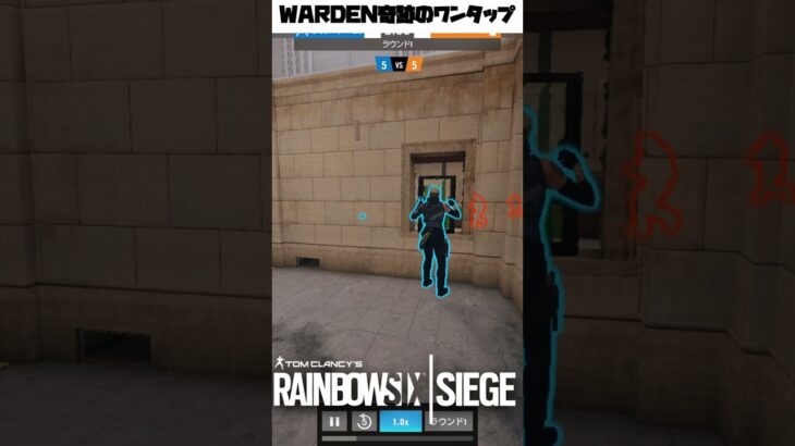 [R6S] WARDEN奇跡のワンタップ　#shorts #r6s #キル集 #rainbow