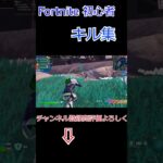 エイムが無さすぎる人のキル集（エイムゴミ 需要皆無） #fortnite #fortnitezerobuild #キル集