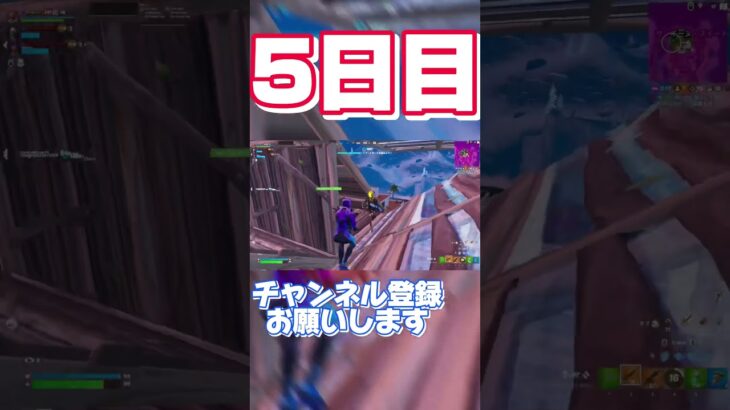 100日キル集『5日目』【フォートナイト/FORTNITE】 #フォートナイト #キル集