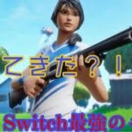 【1年半ぶり？！】元Switch最強1日キル集！！