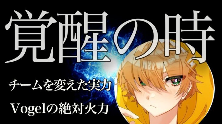 【荒野キル集】負けを勝利に変える信念！Vogelに絶対必要な火力！【HIKAKIN/コラボ】