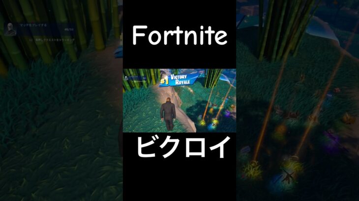 ビクロイショート10 #fortnite #キル集 #キル集フォートナイト #フォートナイト #ビクロイ集 #fortniteclips