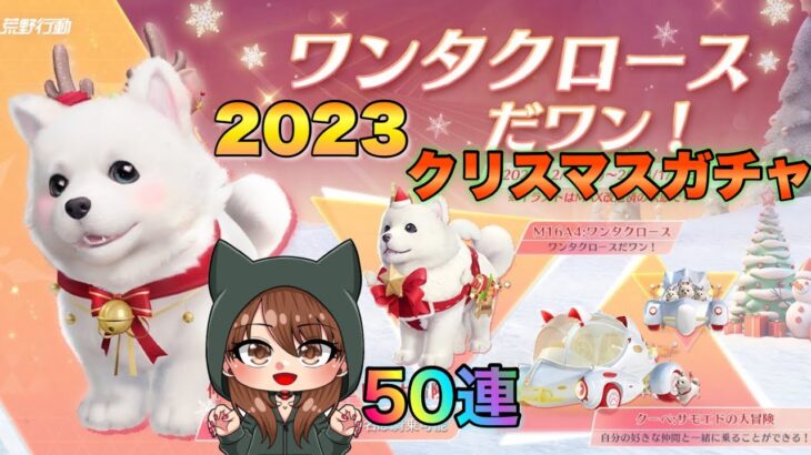 【荒野行動ガチャ】クリスマスガチャ引きます⭐︎【サモエドの大冒険2023】【最新アプデ】【荒野女子】