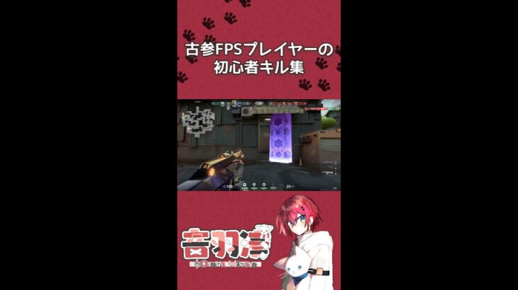 【VALORANT】古参FPSプレイヤーがVALORANTプレイしてみた【キル集】