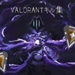 valorant highlight         適正ブロンズによるキル集