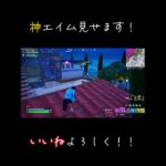 神エイ厶✨️✨️#フォートナイト #ps5 #fortnite #キル集 #初心者