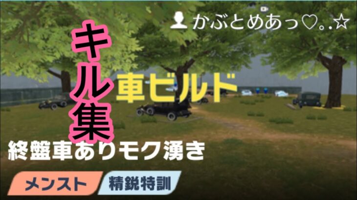 最近荒野ビルドにハマってる奴によるキル集【荒野行動】