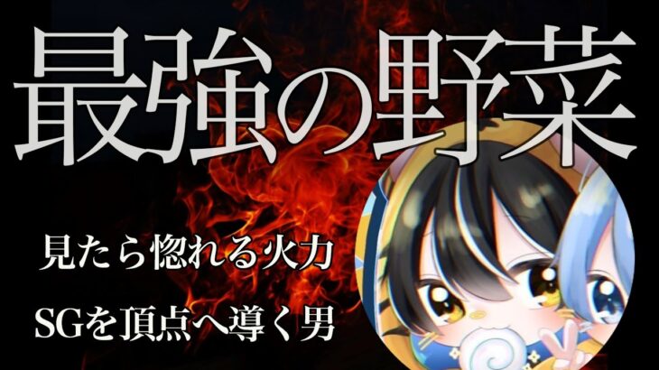 【荒野キル集】声が出る車抜き連発！実力でSG加入を掴み取った！【SGなすび】