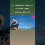 エイム良かったビクロイ！！ #フォートナイト #フォトナ #クリップ #fortnite #fortniteclips #キル集 #youtube #switch #ショート #shorts